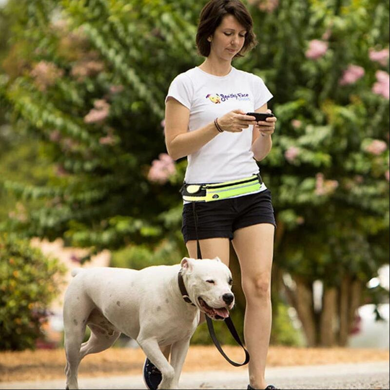 Adventure Hands-Free Dog Leash