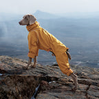 Adventure Waterproof Dog Jacket