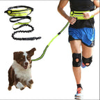 Adventure Hands-Free Dog Leash