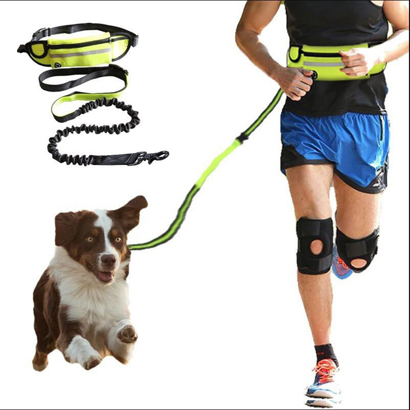 Adventure Hands-Free Dog Leash